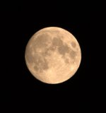 DSC_5357 -2.jpg
