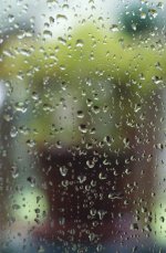 window rain.jpg