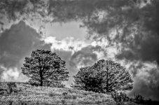 _DSC0187_88_89_90_91_92_tonemapped-Edit-Edit.jpg