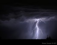 DSC_2895-1-1.jpg