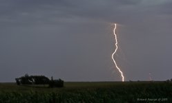 DSC_3178.jpg