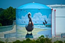 Cape Fear River Pelican Painting  016.jpg