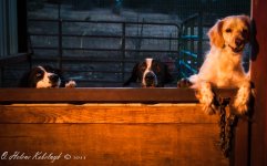 _SSC0302-Edit-Edit.jpg