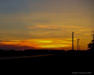 DSC_3435-1-1.jpg