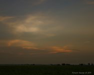 DSC_3564-1-1.jpg
