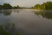 Morning fog.jpg