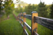 FENCE.jpg