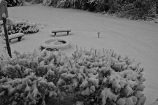 December Snow Storm 2010.jpg