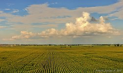 DSC_3832.jpg