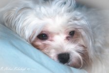 _SSC0461-Edit.jpg