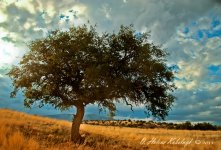 _SSC0487_89_90_tonemapped.jpg