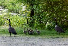 DSC_7935.jpg