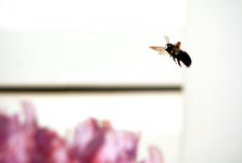 Untitled-1.jpg