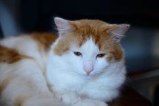 DSC_3793_6630.JPG