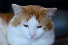 DSC_3793_6630.JPG