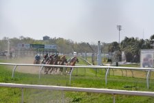 DSC_0046.jpg
