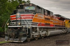 DSC_2566.jpg