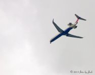 DSC_0868.jpg
