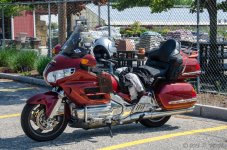 DSC_7991.jpg