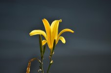 1st June 2013 073.jpg