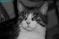 Alex-130601_1.jpg