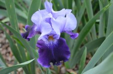 DSC_0140.jpg