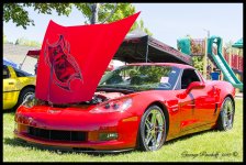 Day153CorvetteSkulls.jpg