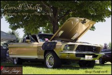 Day153ShelbyCobra.jpg