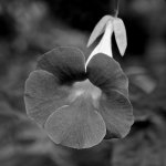 DSC_0416 (2).jpg