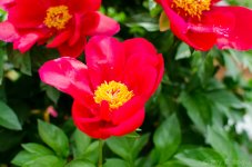 DSC_8109.jpg