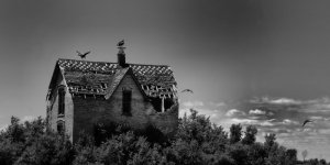 buzzard house 800.jpg