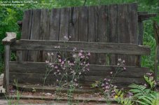 154 Old Bench and Flowers-130603_1.jpg