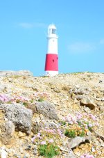 DSC_5479.jpg DSC_5479.jpg