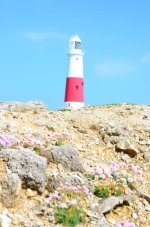 DSC_5478.jpg DSC_5478.jpg