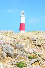 Light house dual morph 2.jpg Light house dual morph 2.jpg