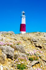 Light house dual morph 2-1.jpg Light house dual morph 2-1.jpg