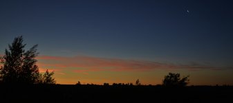 MORNING MOON 044.JPG