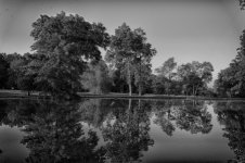_D615228_HDR.jpg
