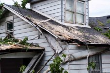 Tree Damage.jpg