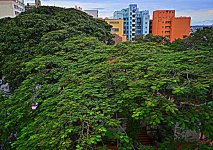m_DSC_1949-001.jpg