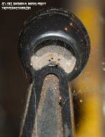 156 Spider Babies-130605-05_1.jpg