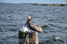 DSC_0220.jpg DSC_0220.jpg