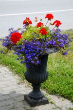 DSC_8174.jpg