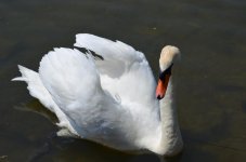 DSC_0037.jpg