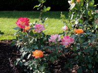 DSCN9078.jpg