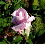 DSCN9069.jpg