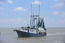 DSC_3541.jpg