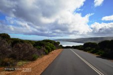 DSC_7082.jpg