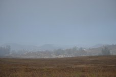 8th June 2013 006.jpg