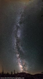 _DW21726-pan-V-struct-CA-Edit.jpg